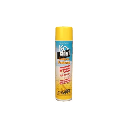 Aérosol Insecticide Kocide Foudroyant Spécial Nids De Guêpes Et Frelons 600 Ml KOCIDE