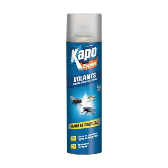 Aérosol Insectes Volants Élimination Rapide Des Insectes Volants - Kpro