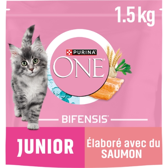 Croquettes Pour Chat Junior Saumon Bifensis PURINA ONE