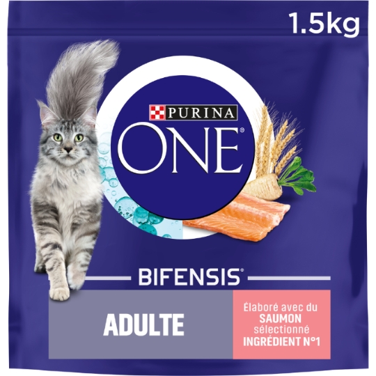 Croquettes Pour Chat Adulte Saumon Bifensis PURINA ONE