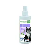 Spray Herbe à Chat aux Extraits de Cataire PHYTOSOIN HOME