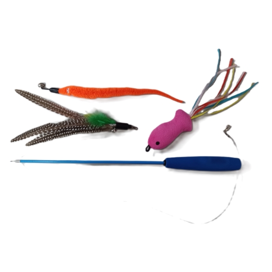 Jouet pour Chat Canne à Pêche avec Accessoires Interchangeables BOBBY