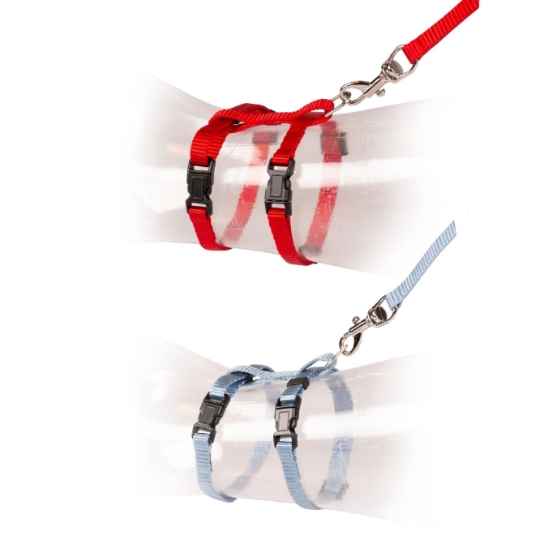 Set de Promenade pour Chaton Uni en Couleurs Mélangées 15-25cm / 8mm-125cm DUVOPLUS