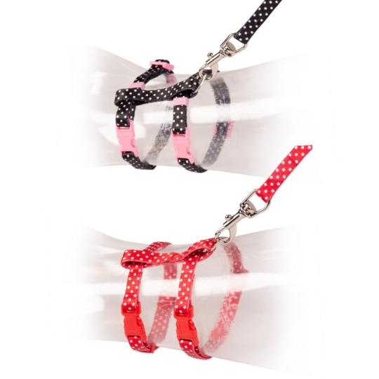 Set de Promenade pour Chaton Boules Blanches en Noir et Rouge 15-25cm / 8mm-125cm DUVOPLUS