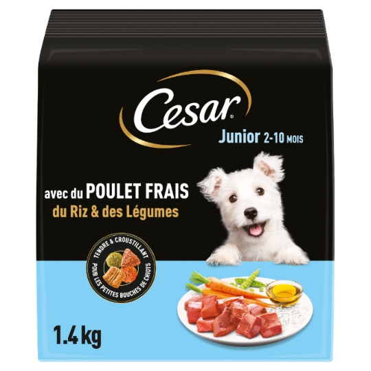 Croquettes pour Chien Junior 2-10 Mois Poulet Frais Riz & Légumes CESAR