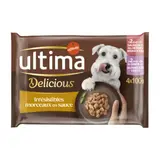 Pâtée pour Chien Adulte Petit < 10kg en Sauce Saumon Dinde ULTIMA