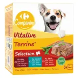 Pâtée Pour Chien Adulte En terrine Boeuf Canard Veau CARREFOUR COMPANINO