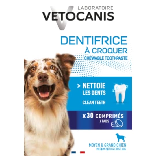 Dentifrice Pour Chien Moyen et Grand Hygiène Bucco Dentaire Poulet VETOCANIS
