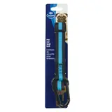 Ceinture Pour Chien CARREFOUR COMPANINO