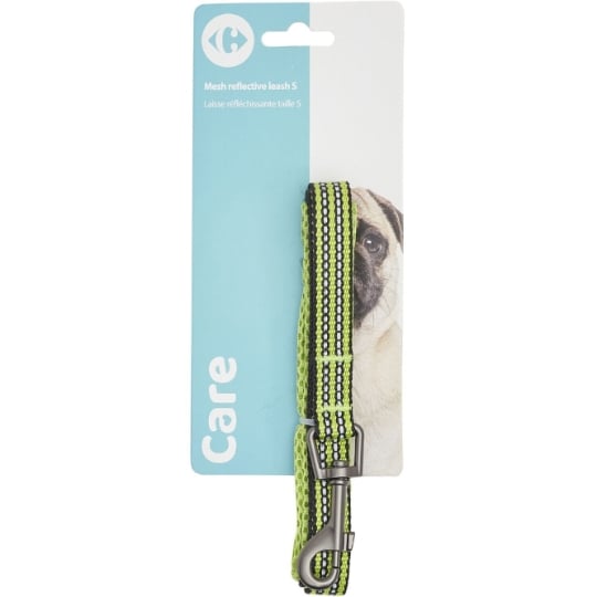 Laisse Pour Chien Réfléchissant CARREFOUR CLASSIC'