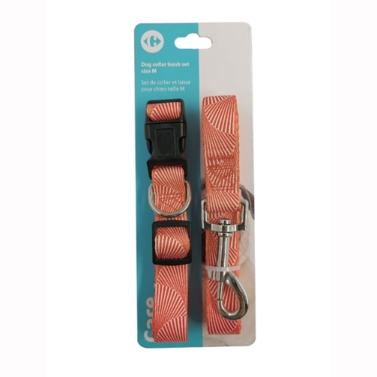Collier et laisse Pour Chien Nylon Taille M CARREFOUR CLASSIC'