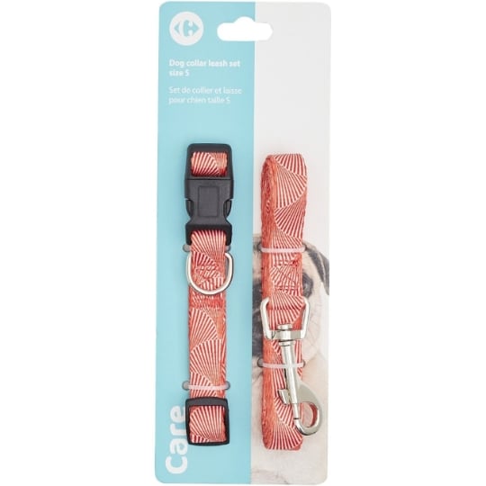 Collier et laisse Pour Chien Nylon Taille S CARREFOUR CLASSIC'