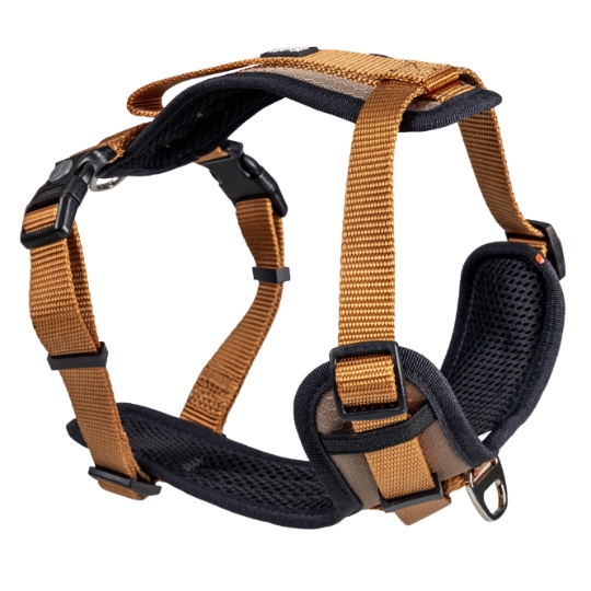 Collier pour animal Harnais Y DUVOPLUS
