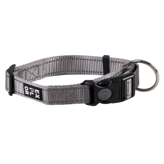 Collier pour Chien Gris DUVOPLUS