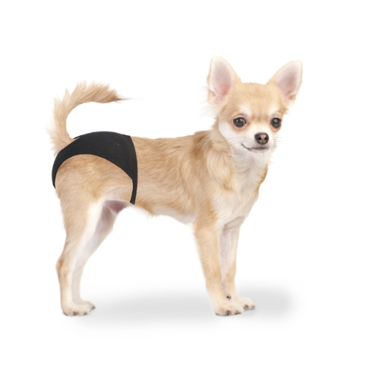 Culottes pour Chien XS 18-23cm DUVO+