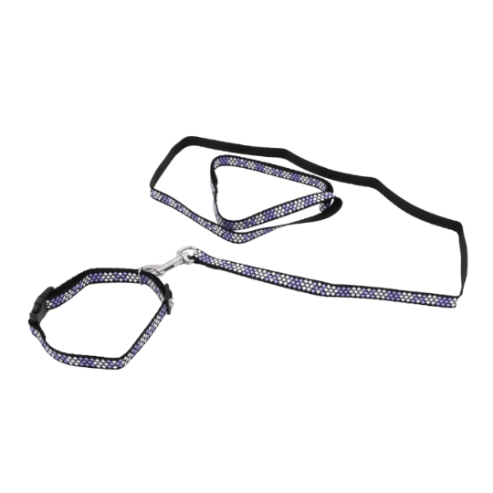 Ensemble Collier et Laisse Motif Fleurs Violet et Noir SANS MARQUE