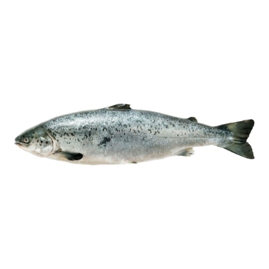 Saumon Entier Vidé et Ecaillé FILIERE QUALITE CARREFOUR