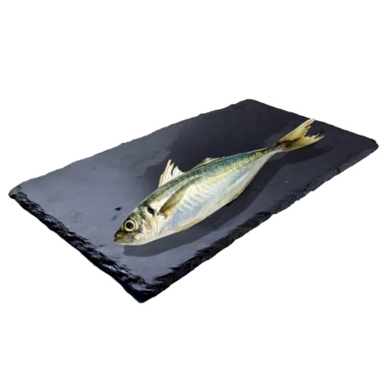 Chinchard vidé et écaillé