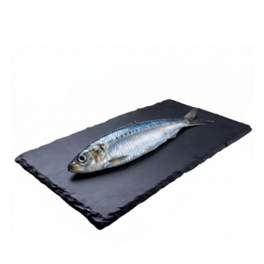 Sardine