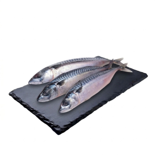 Maquereau