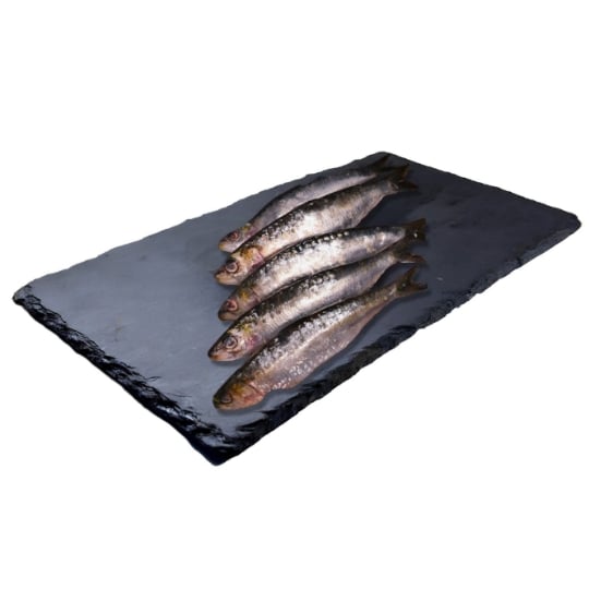 Sardines Atlantique