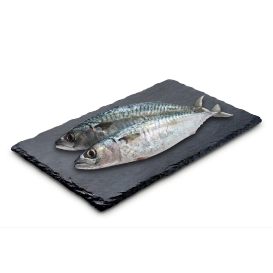 Sardines