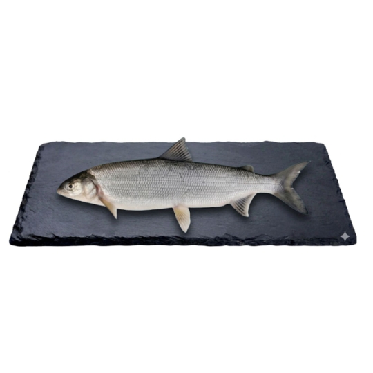 Fera