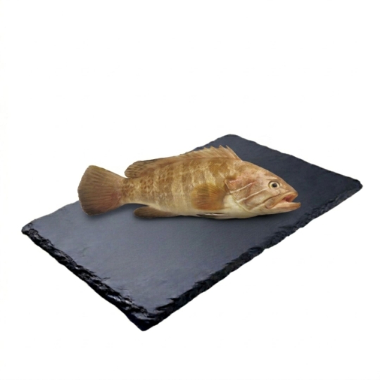 Mérou