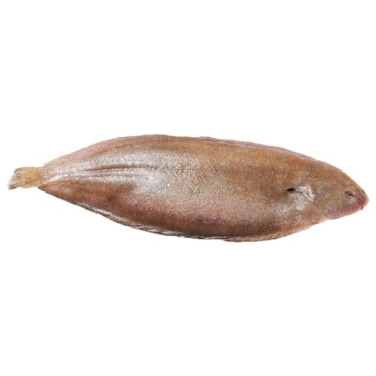 Sole de roche vidée
