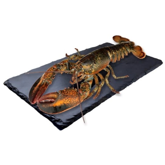 Homard Américain Cuit