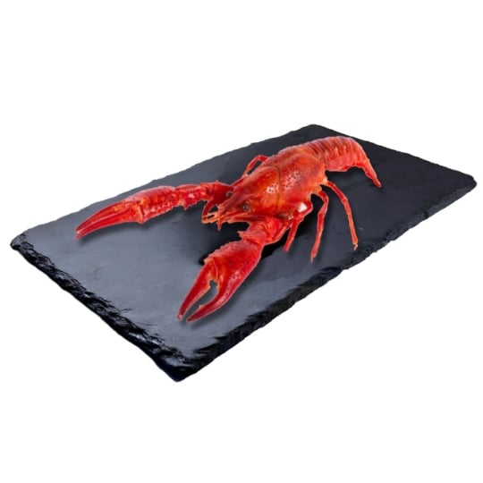 Langoustines Cuite 16/20