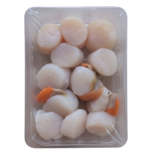 Noix de Saint Jacques