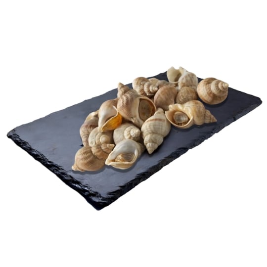 Bulots MSC FILIERE QUALITE CARREFOUR
