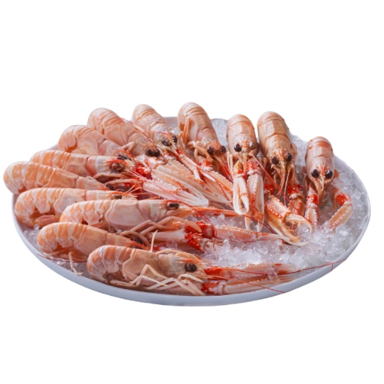 Grosse Langoustine Cuite