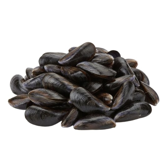 Moules de Corde