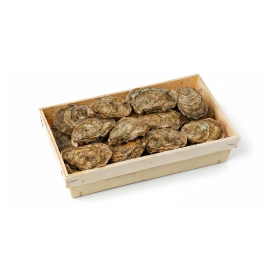 Huîtres de Charentes Maritime N°2