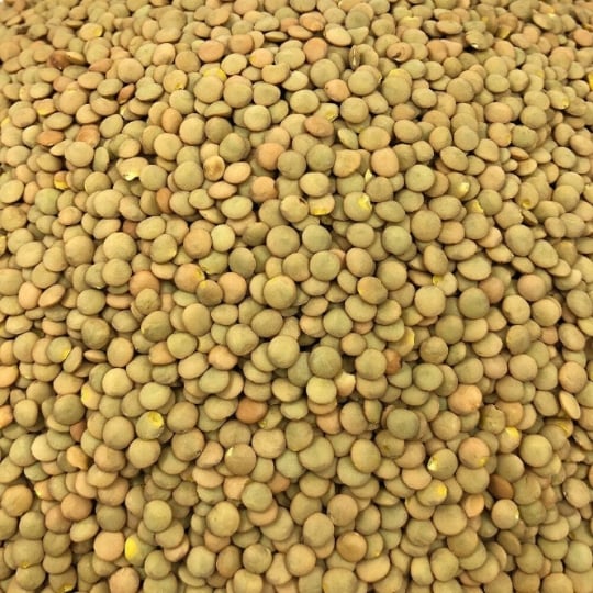 Lentille Blonde Bio En Vrac 5kg VRACBIO