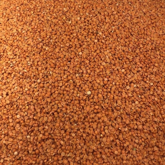 Lentille Corail Bio En Vrac 25kg VRACBIO