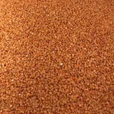 Lentille Corail Bio En Vrac 500g VRACBIO