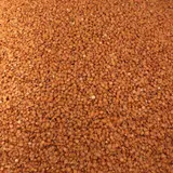Lentille Corail Bio En Vrac 5kg VRACBIO