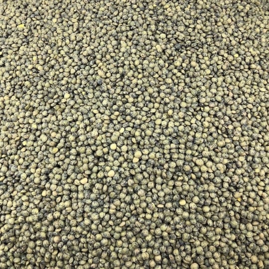 Lentille Verte Bio En Vrac 250g VRACBIO
