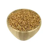Petit Epeautre Bio En Vrac 250g VRACBIO