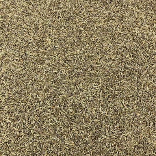 Cumin Graines Bio En Vrac 1 Kg VRACBIO