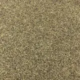 Cumin Graines Bio En Vrac 2 Kg VRACBIO