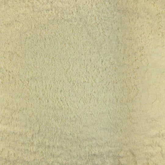 Oignon Poudre Bio En Vrac 5 Kg VRACBIO