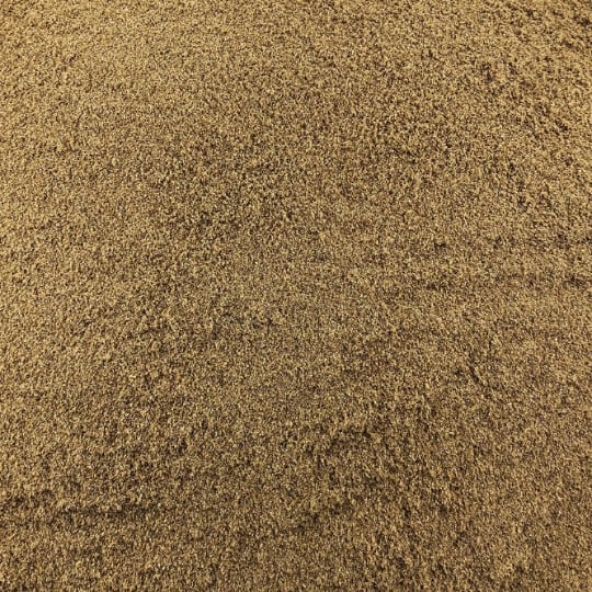 Carvi Poudre Bio En Vrac 1 Kg VRACBIO