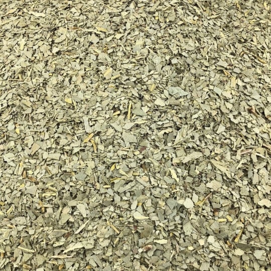 Eucalyptus Feuilles Bio En Vrac 5 Kg VRACBIO