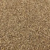 Coriandre Graines Bio En Vrac 1 Kg VRACBIO