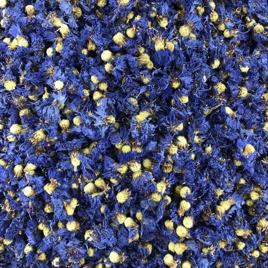 Bleuet Fleurs Bio En Vrac 500g VRACBIO