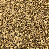 Oranger Bouton Bio En Vrac 2 Kg VRACBIO